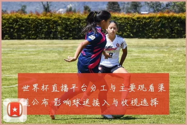 世界杯直播平台分工与主要观看渠道公布 影响球迷接入与收视选择