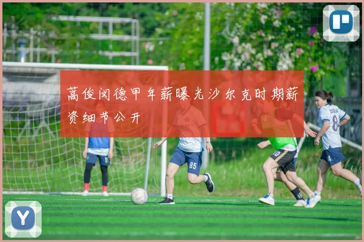 蒿俊闵德甲年薪曝光沙尔克时期薪资细节公开