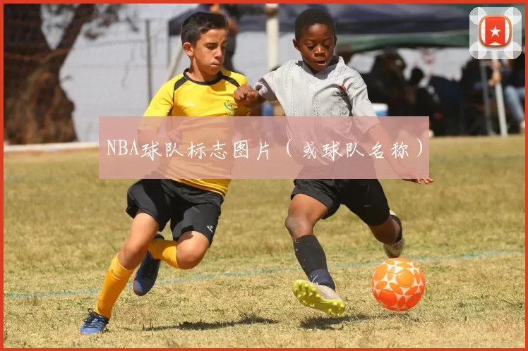 NBA球队标志图片（或球队名称）