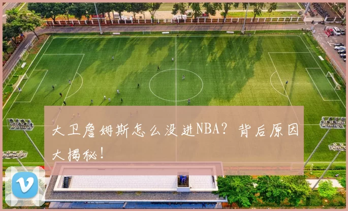大卫詹姆斯怎么没进NBA？背后原因大揭秘！