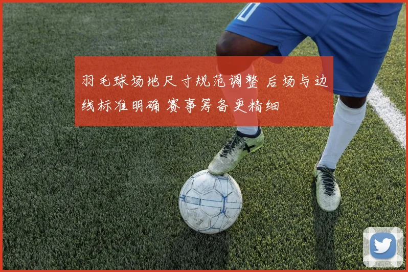 羽毛球场地尺寸规范调整 后场与边线标准明确 赛事筹备更精细
