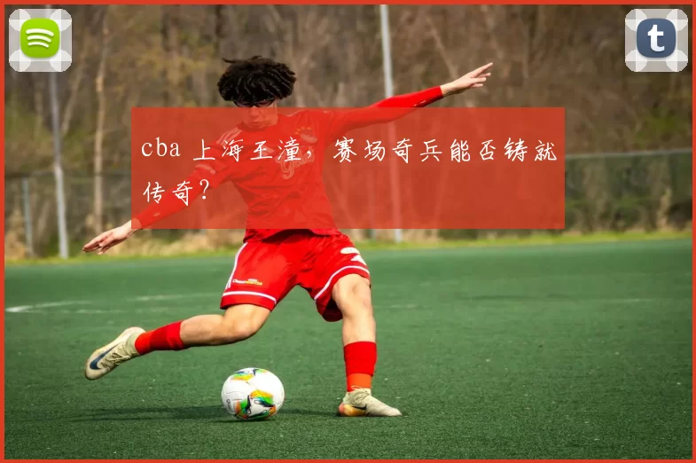 cba 上海王潼，赛场奇兵能否铸就传奇？