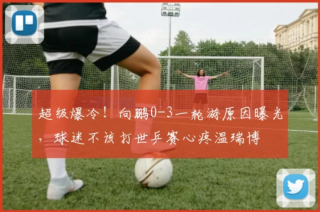 超级爆冷！向鹏0-3一轮游原因曝光，球迷不该打世乒赛心疼温瑞博