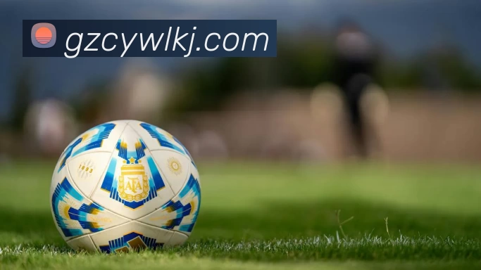 开云「中国」Kaiyun·官方网站 - 国内一流技术服务商发展历程