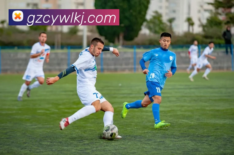 开云·kaiyun体育(中国大陆)官方网站 登录入口APP 高清赛事图